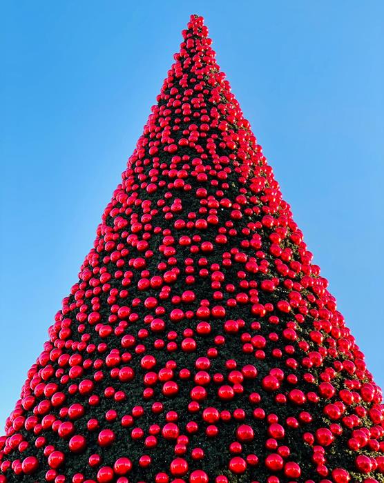 weihnachtsbaum