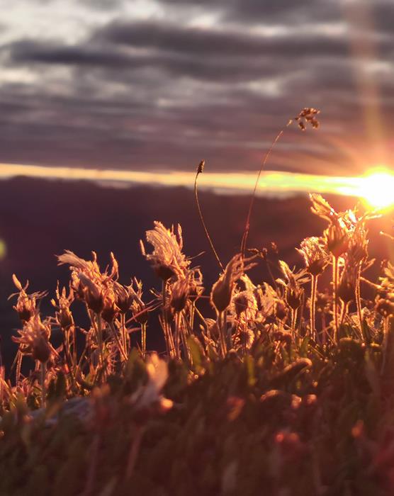 hotel-zirm-sonnenaufgang-mit-manuel-55